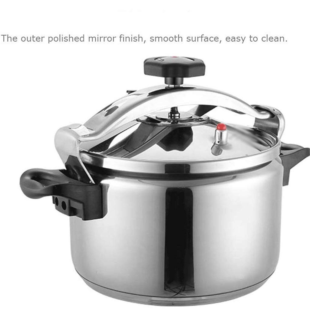 Stainless Steel 3L Electric Pressure Cooker N783