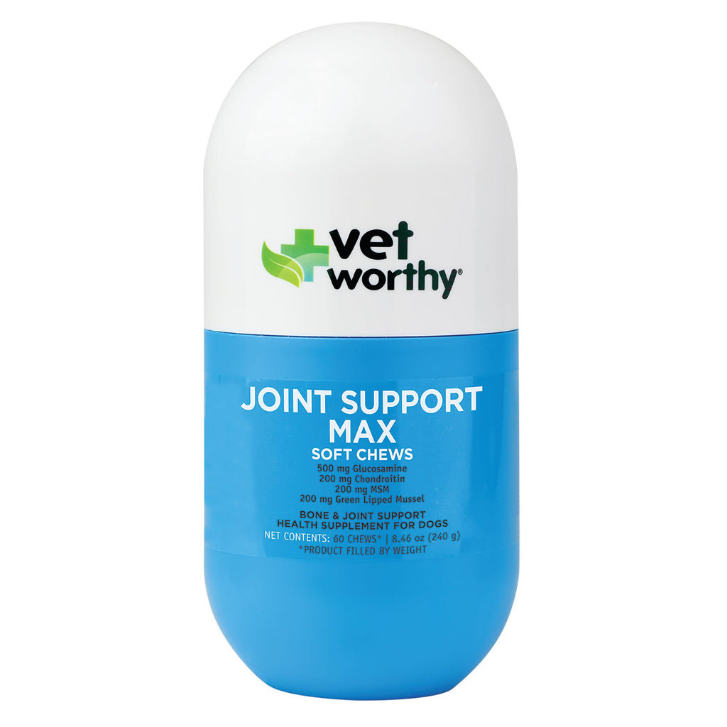 Joint Support Soft Chews 60ct I48825
