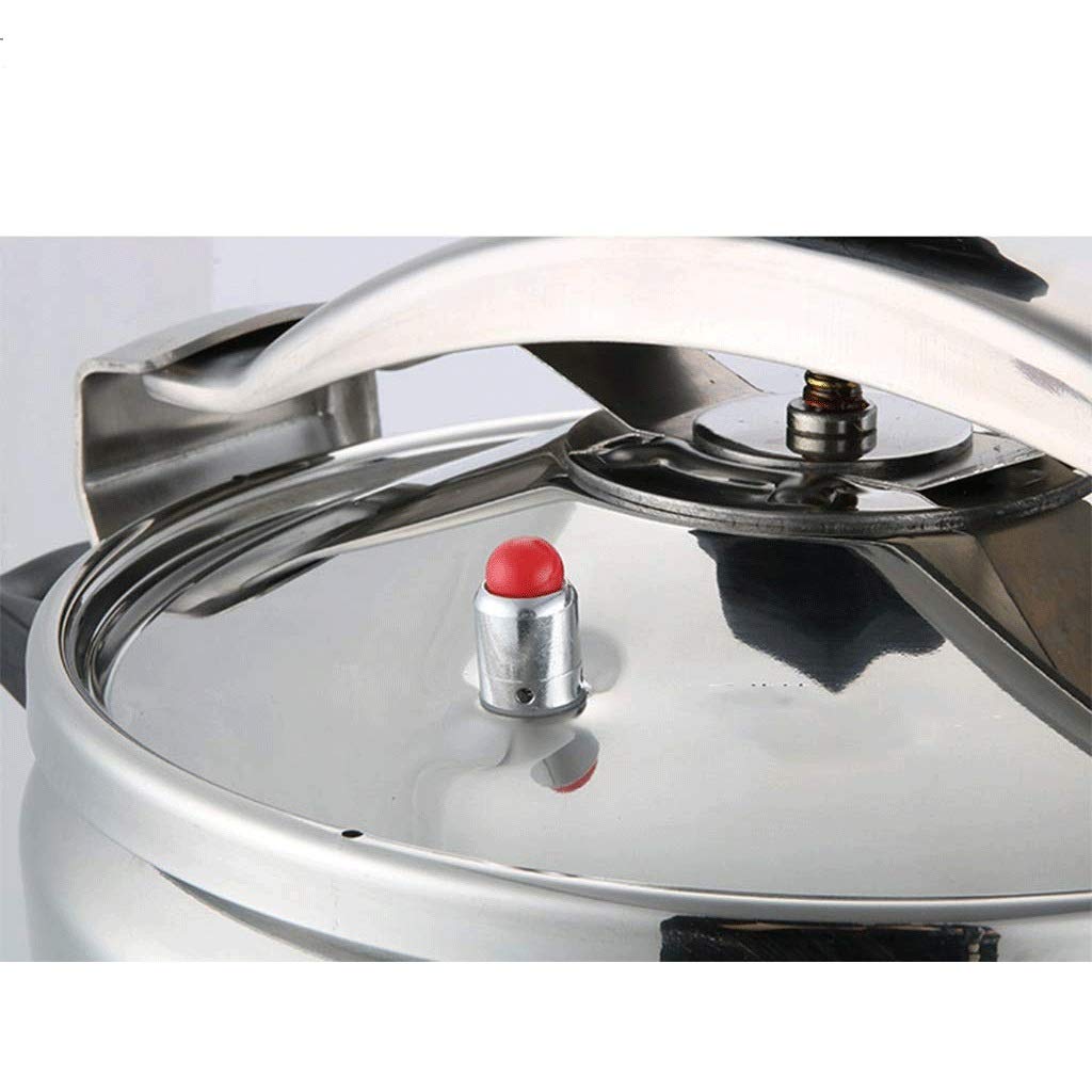 Stainless Steel 3L Electric Pressure Cooker N783