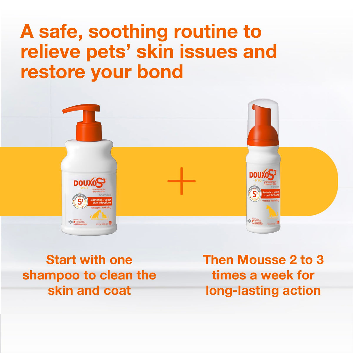 Chlorhexidine Shampoo and Mousse for Dogs P673