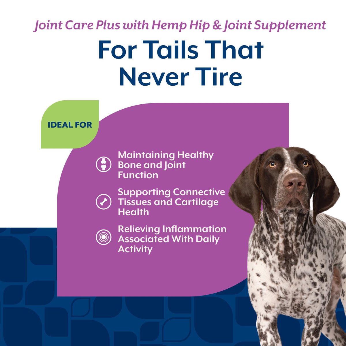 Hip & Joint Supplement for Dogs 120ct G669026