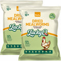Dried Mealworms High Protein Birds Treat K68623