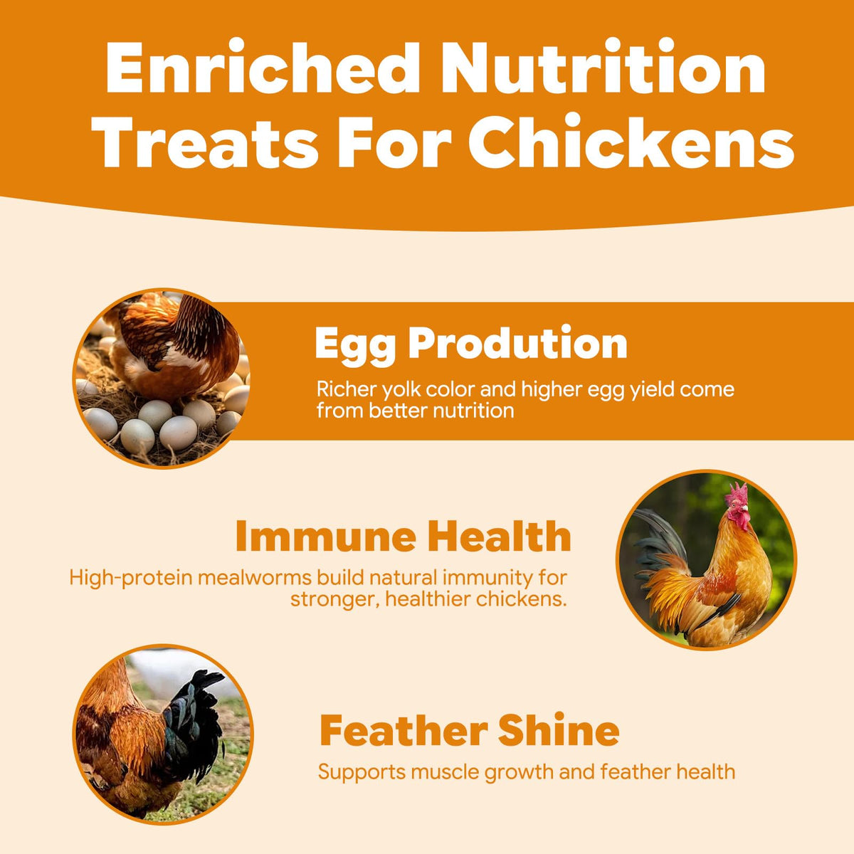 Dried Mealworms High Protein Birds Treat K68623