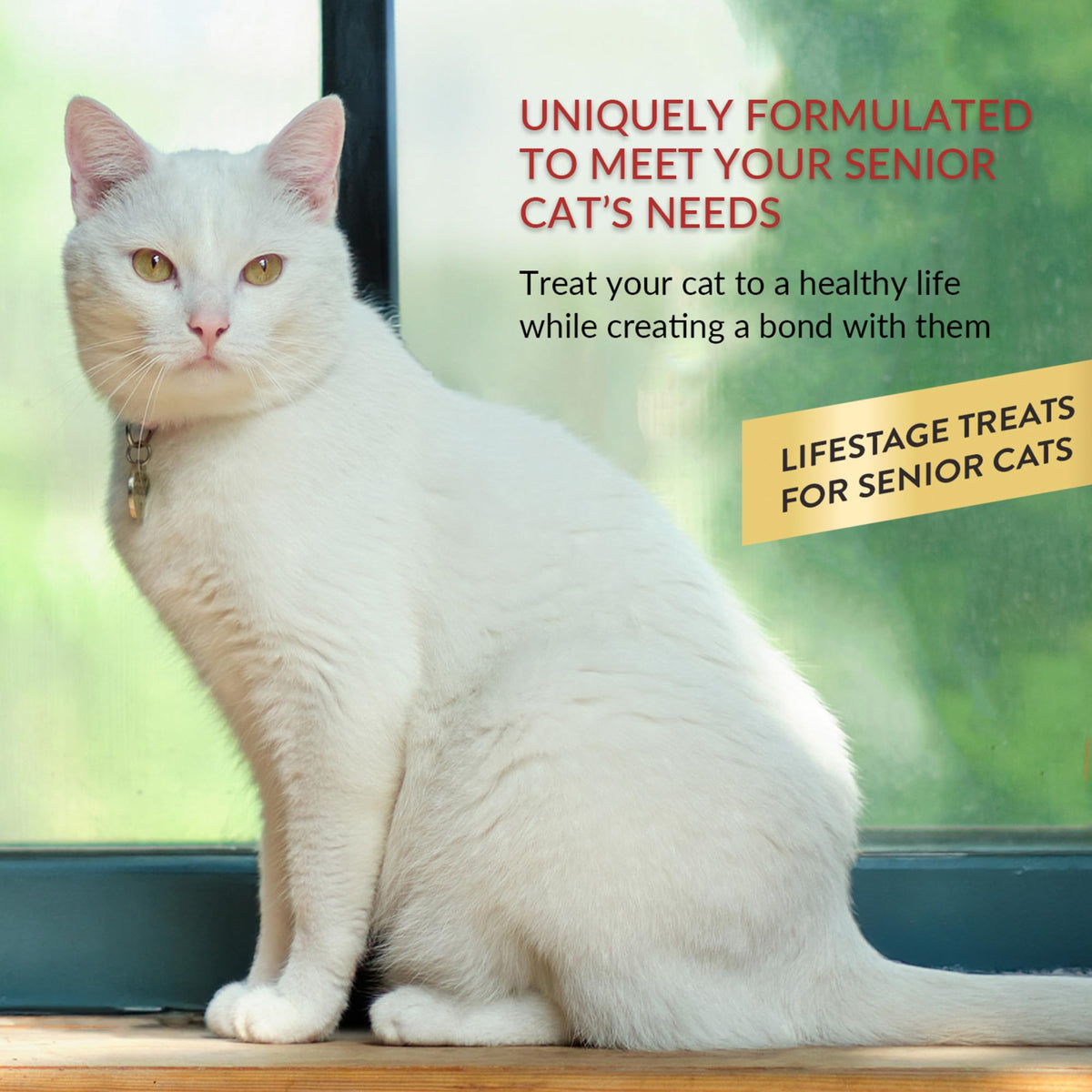 Lickable Cat Treats Tuna Chicken Variety 60ct M38133