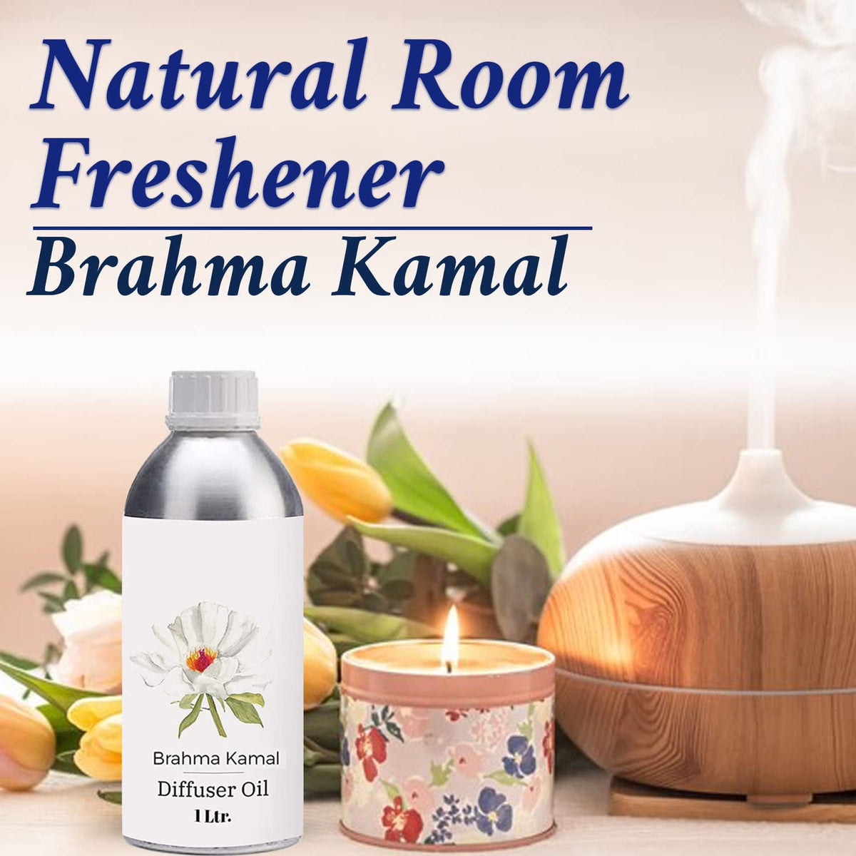 Diffuser Oil 1L G610