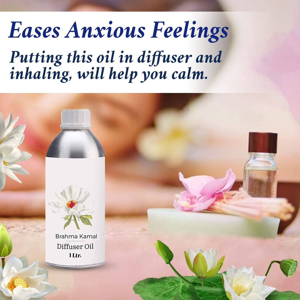 Diffuser Oil 1L G610