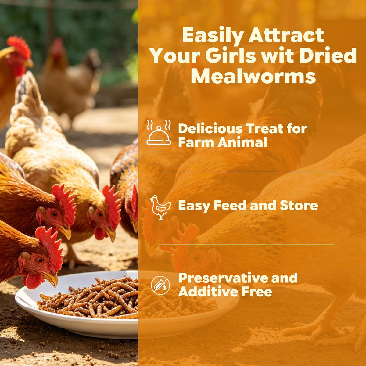 Dried Mealworms High Protein Birds Treat K68623