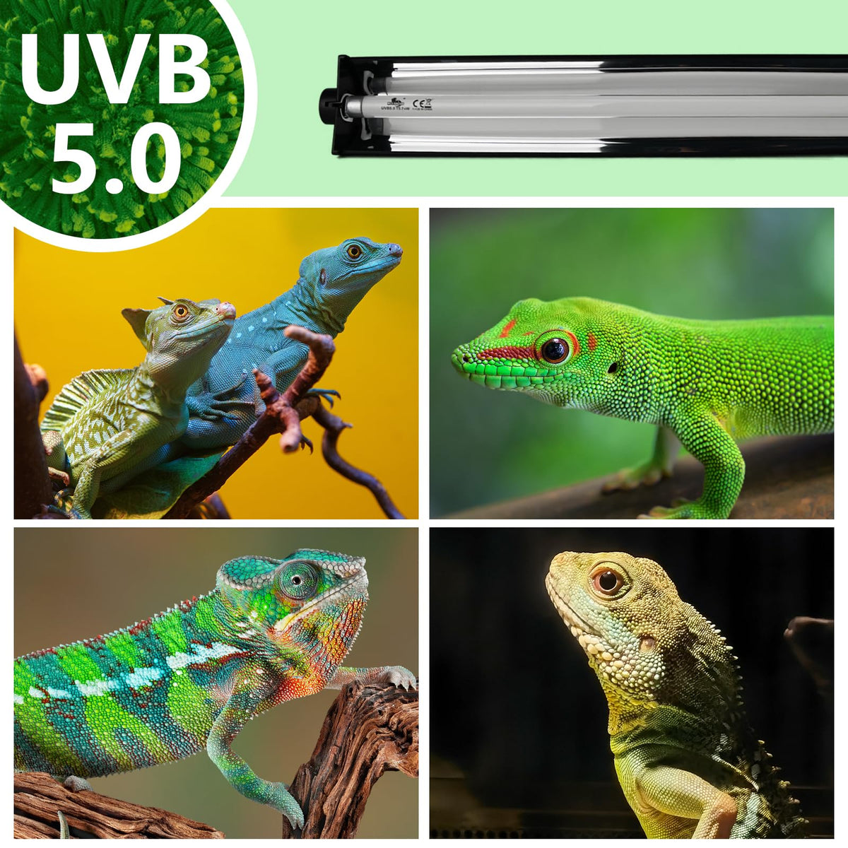 8W T5 UVB Lighting Combo Kit with Desert 5.0 Bulbs Y3950