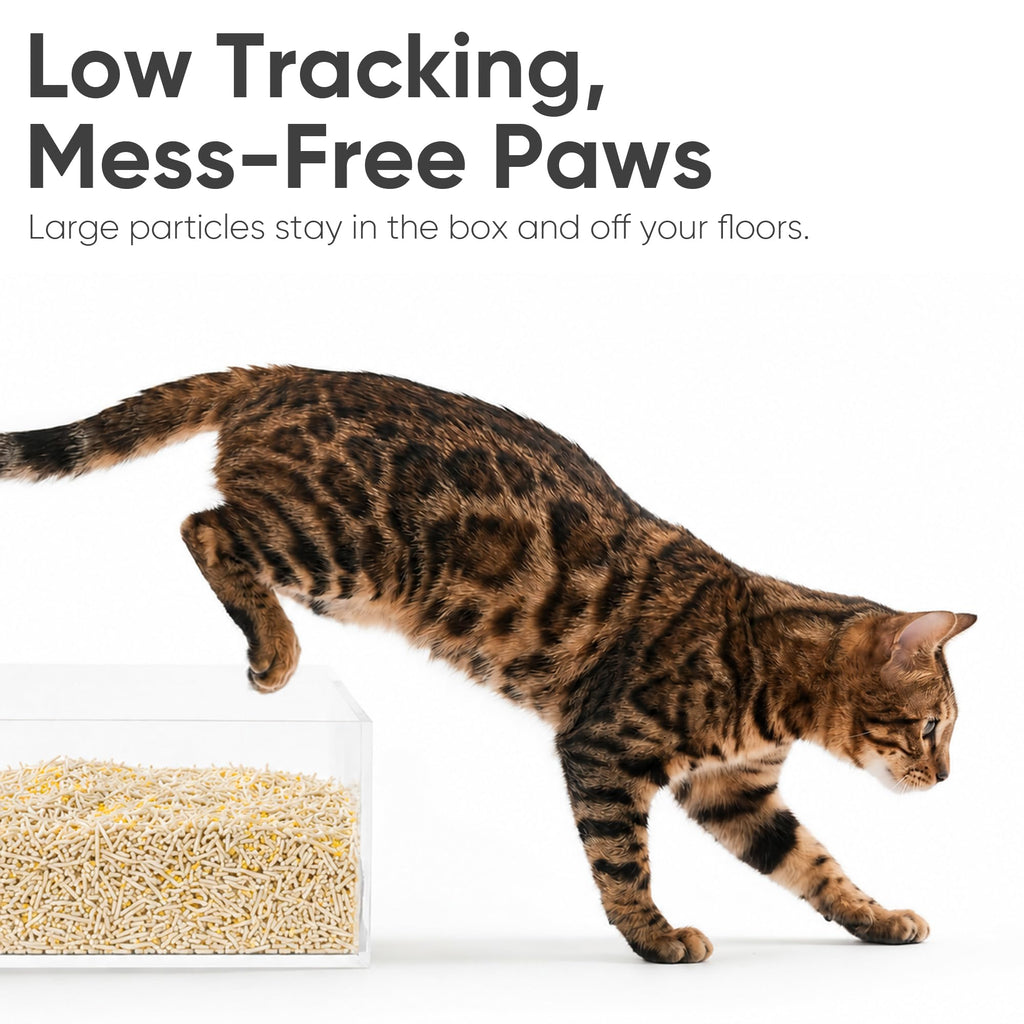 Clumping Tofu Cat Litter 18 lb C77702