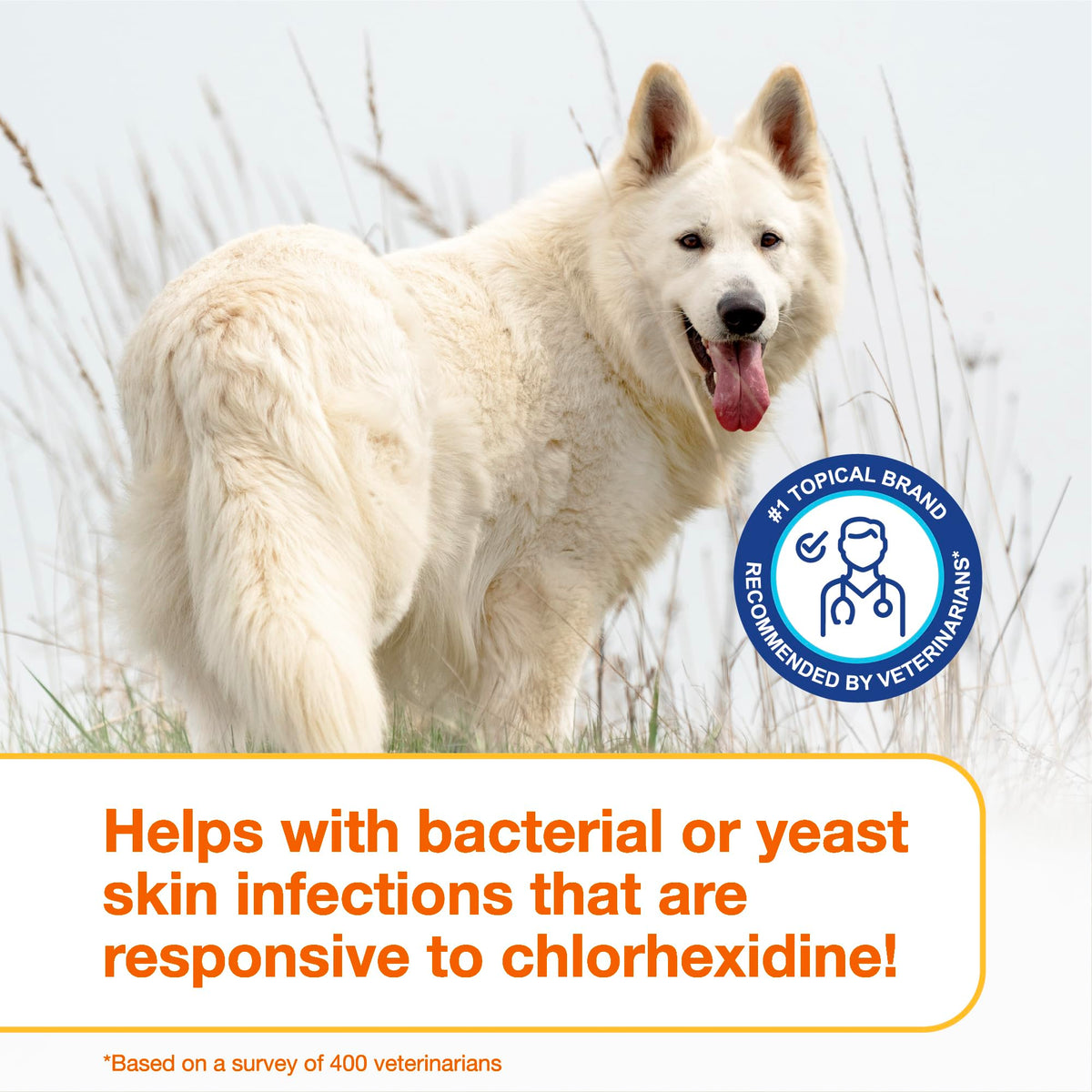 Chlorhexidine Shampoo and Mousse for Dogs P673