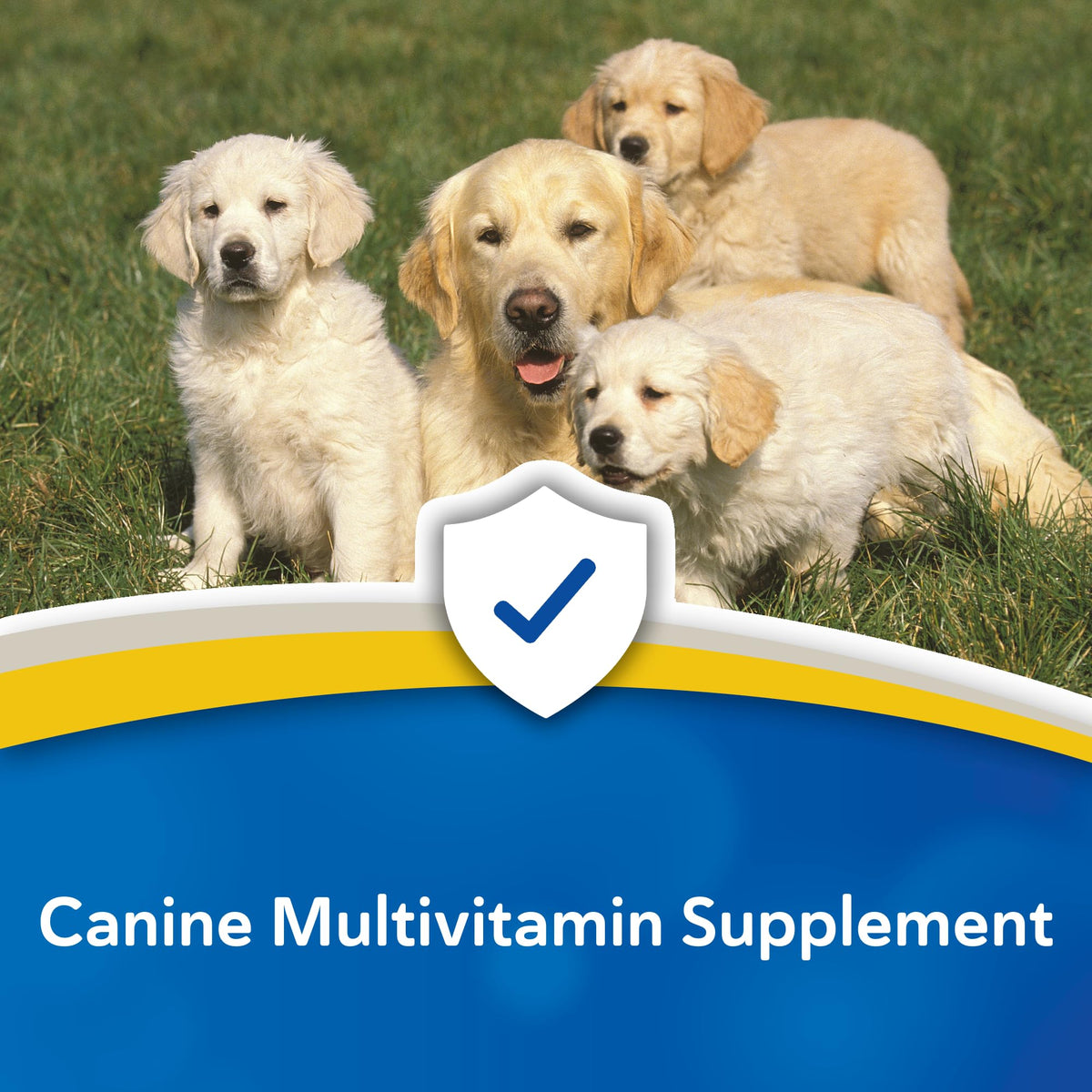 Canine Chewable Multivitamin Tablets 365ct X4408