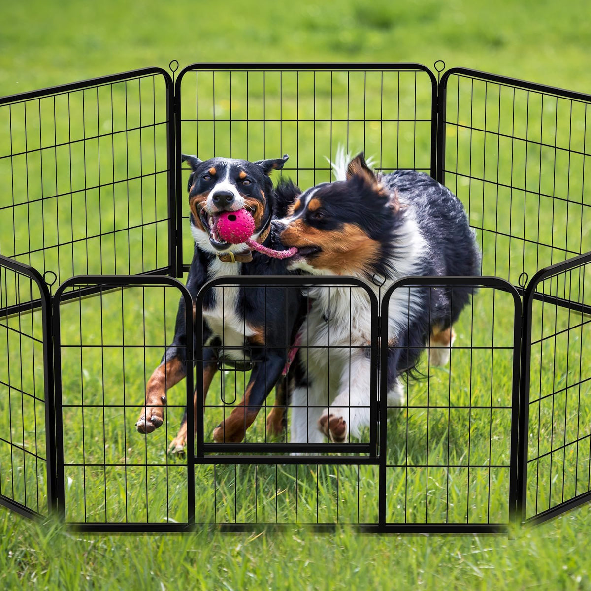 40 Inch 16 Panels Metal Dog Playpen U970397