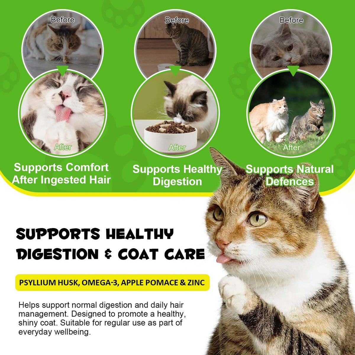 Chicken Flavor Hairball Support Chews Q17927