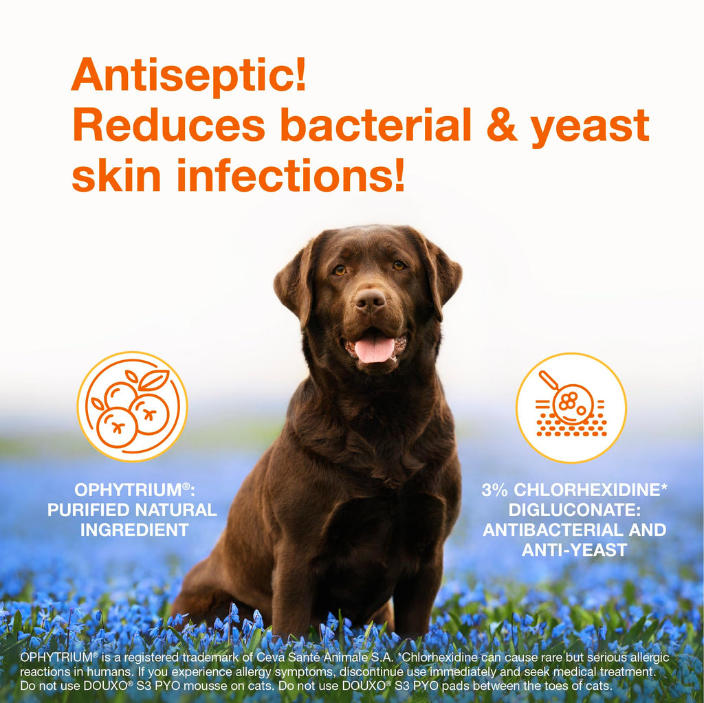 Chlorhexidine Shampoo and Mousse for Dogs P673