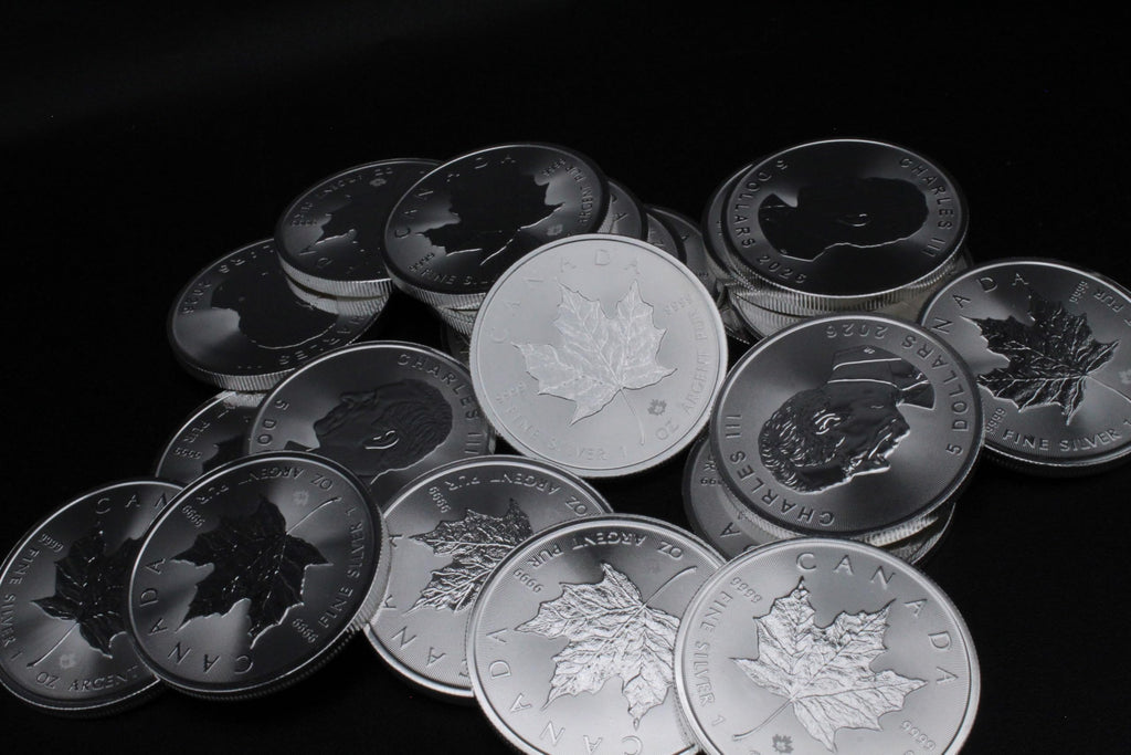 1 oz Canadian Maple Leaf Silver Coin P9949
