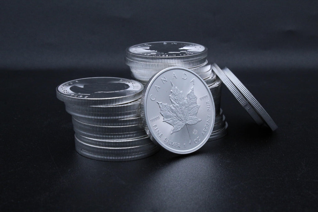 1 oz Canadian Maple Leaf Silver Coin P9949