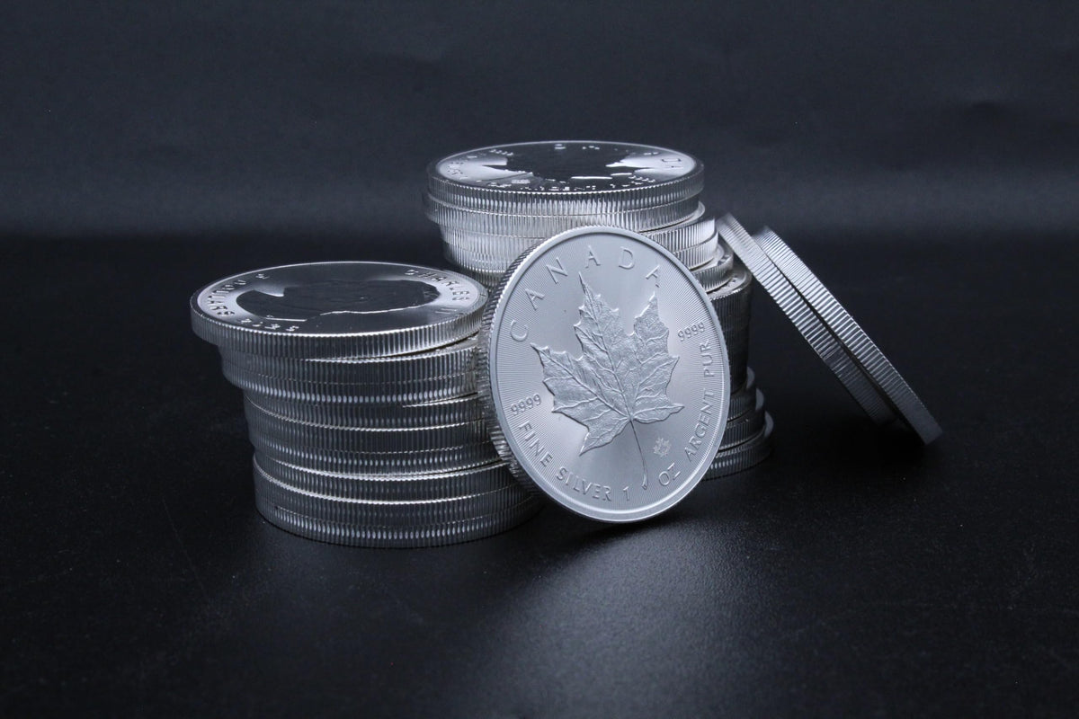 1 oz Canadian Maple Leaf Silver Coin P9949