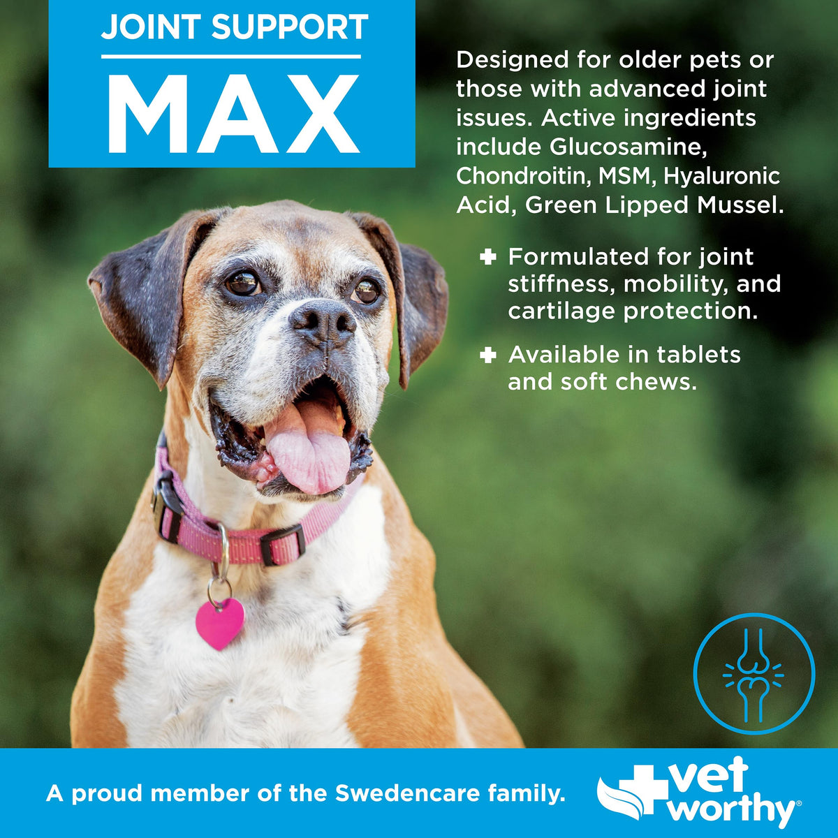Joint Support Soft Chews 60ct I48825
