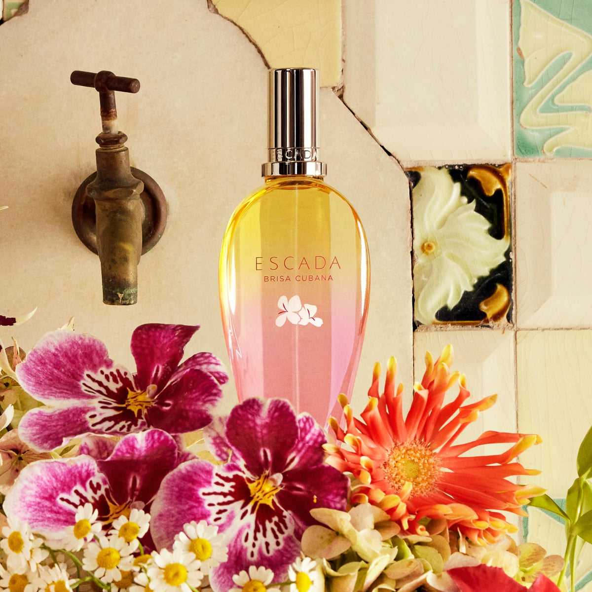 Citrus Women's Eau de Toilette C90353